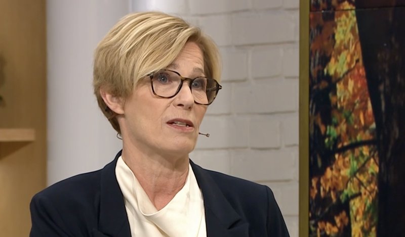 Ann Tiberg, politisk kommentator TV4. Skärmavbild: Nyhetsmorgon Ann Tiberg, politisk kommentator TV4. Skärmavbild: Nyhetsmorgon